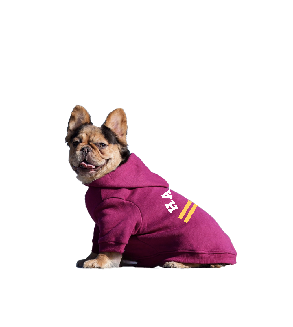 HH Doggie Comfort Pullover Hoodie