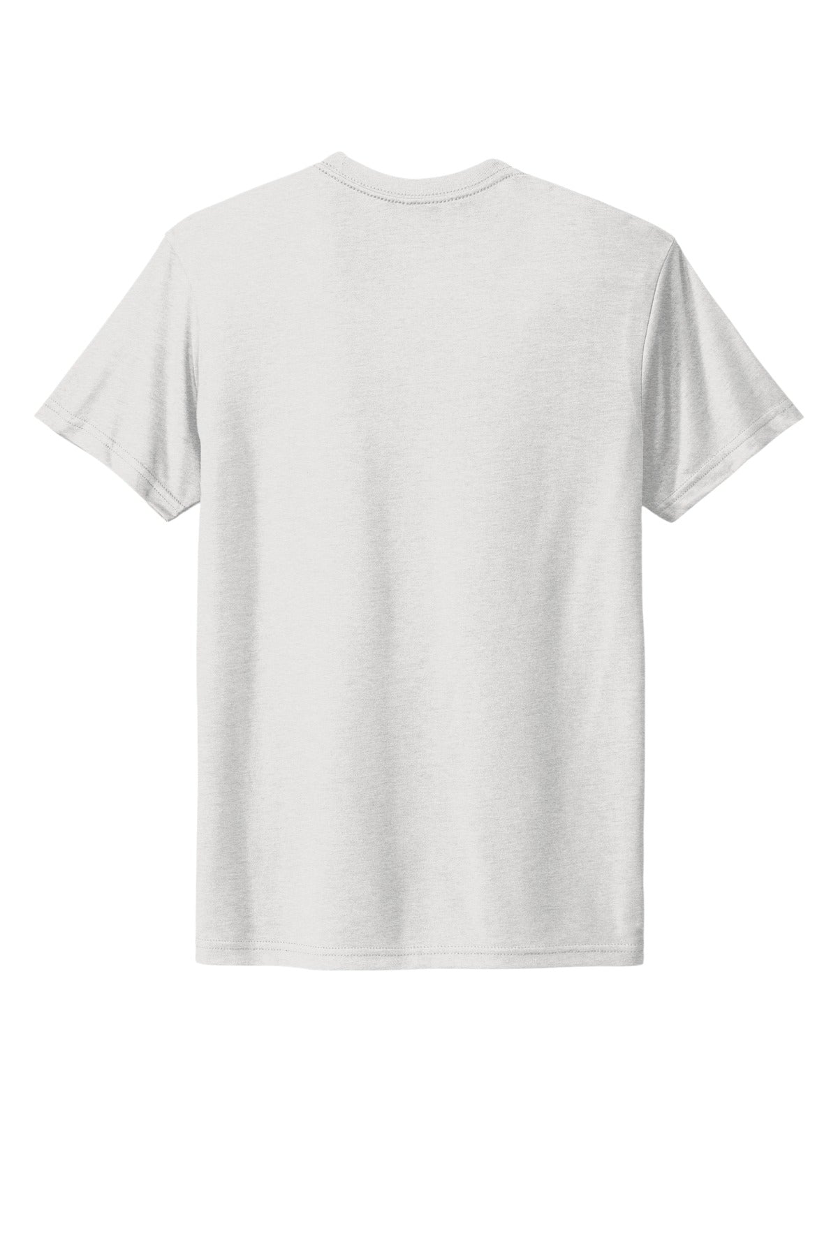 Next Level Apparel Adult Tri-Blend Tee. NL6010