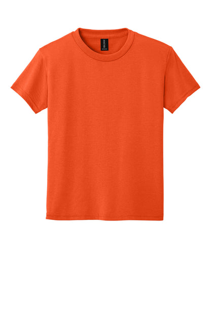 Gildan Youth DryBlend 50 Cotton/50 Poly T-Shirt.  8000B