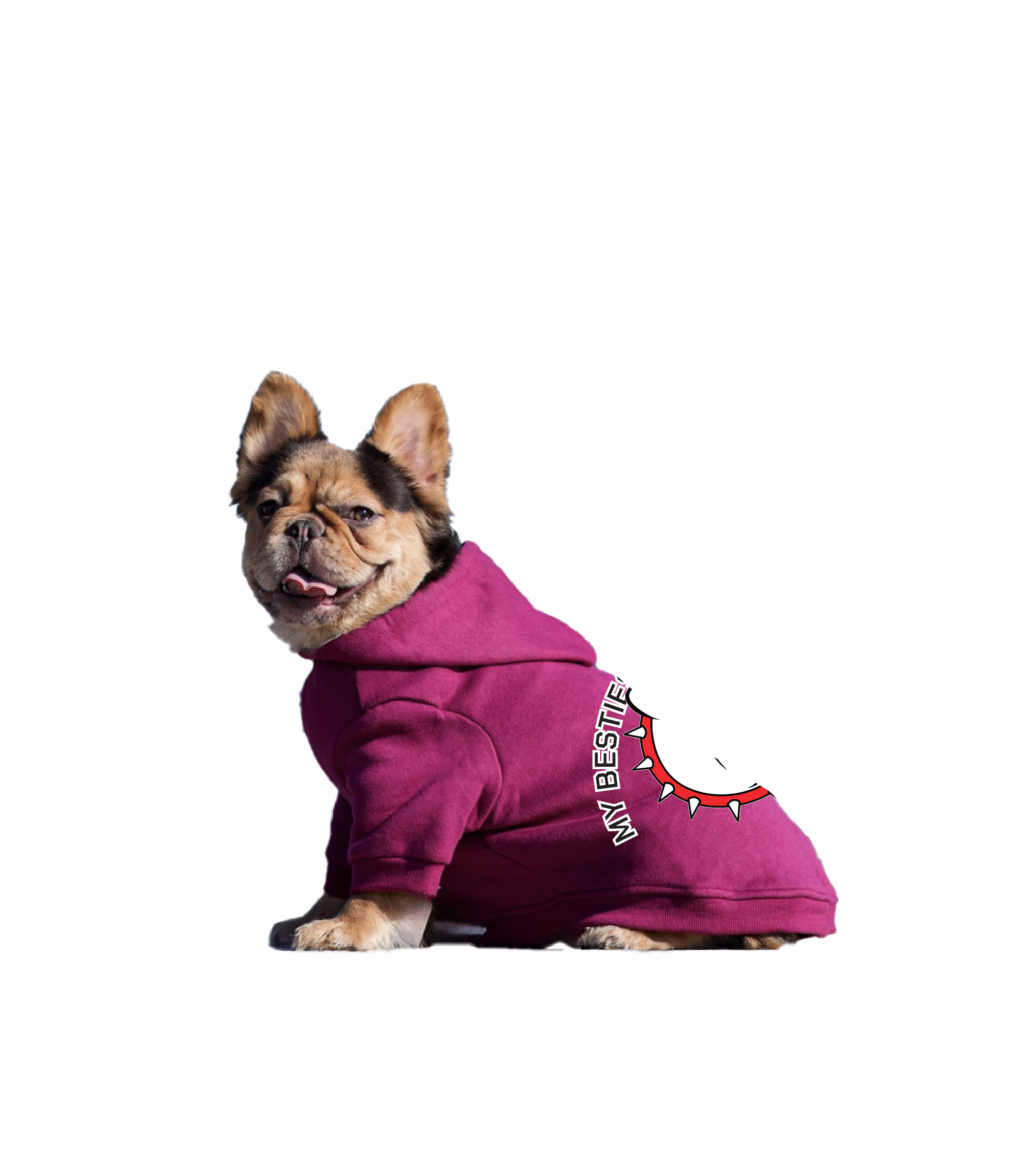CP Doggie Comfort Pullover Hoodie