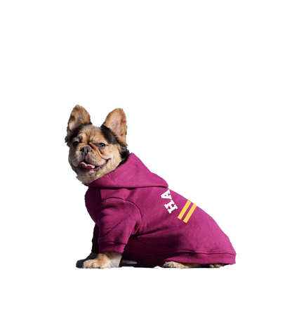HH Doggie Comfort Pullover Hoodie