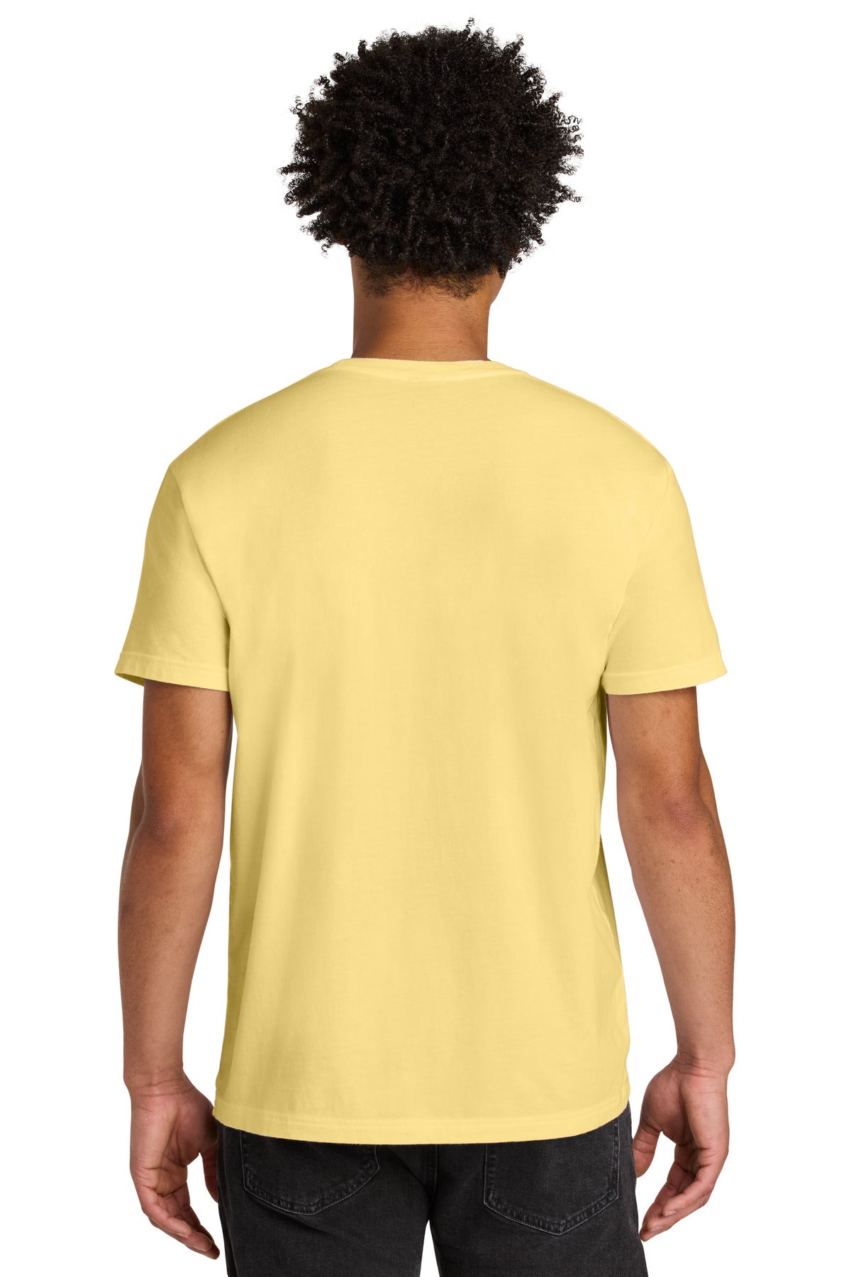 Next Level Apparel Soft Wash Cotton Tee NL3600SW
