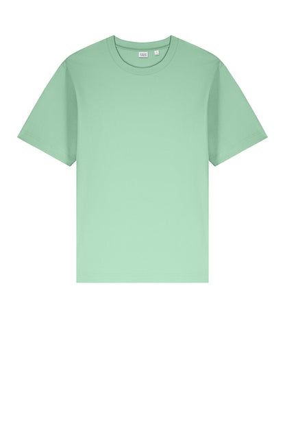Stanley/Stella Unisex Freestyler Heavyweight Tee SXU018