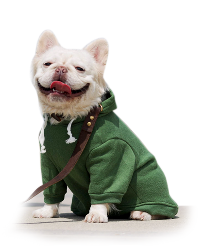 TC Doggie Comfort Pullover Hoodie