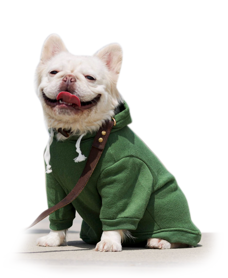 TC Doggie Comfort Pullover Hoodie