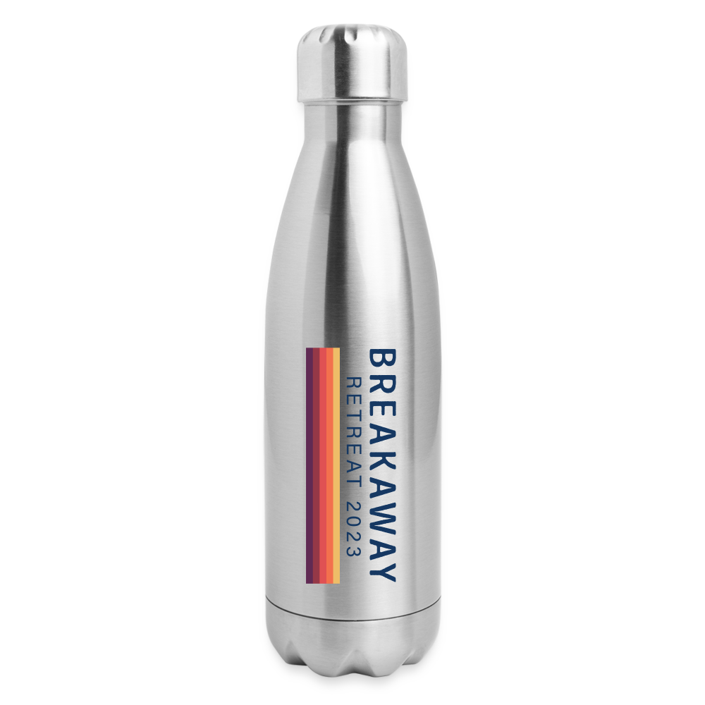 Insulated Stainless Steel Water Bottle - silver