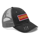 Haverford License Plate Hat