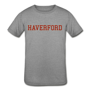 Haverford Classic Tri-Blend  Youth Short Sleeve - heather grey