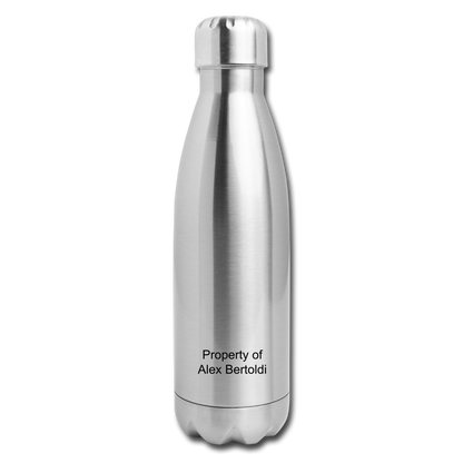 Insulated Stainless Steel Water Bottle - silver