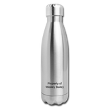 Insulated Stainless Steel Water Bottle - silver